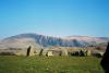 That's the Stone Circle of Keswick. It was built by farmers 2500 years B.C.